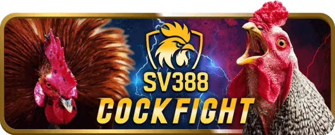 Live Casino XIN88