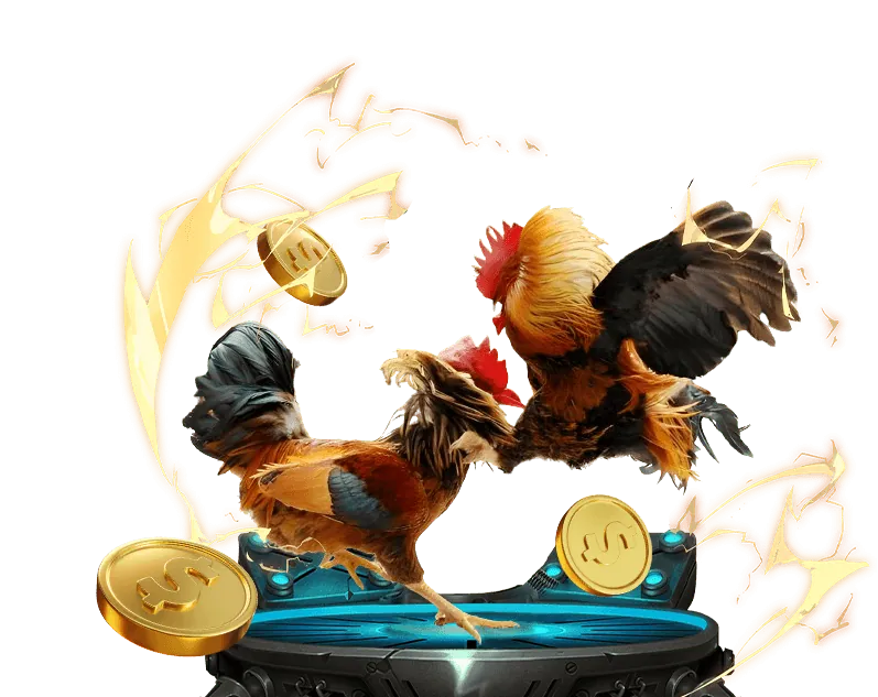 Khuyến mãi đặc biệt cho từng sảnh game XIN88